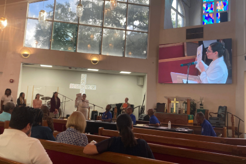 Good Government project