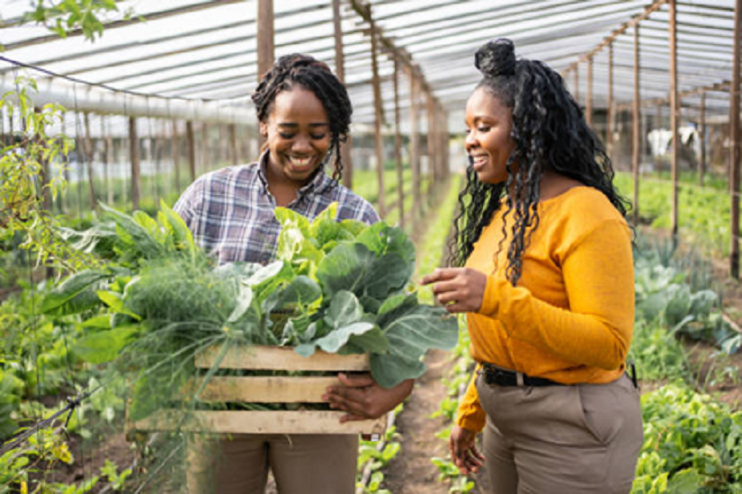 farming food symposium