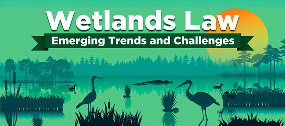 Wetlands Law Conference Poster