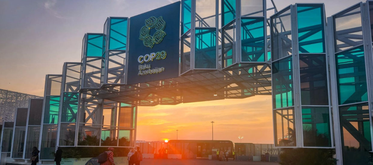 COP 29