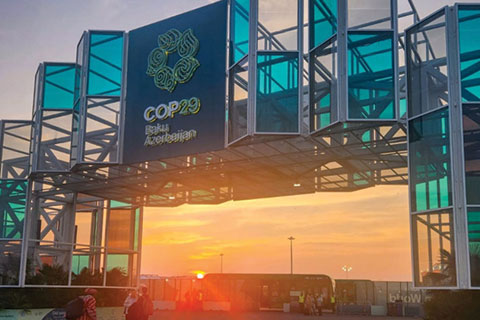 COP 29