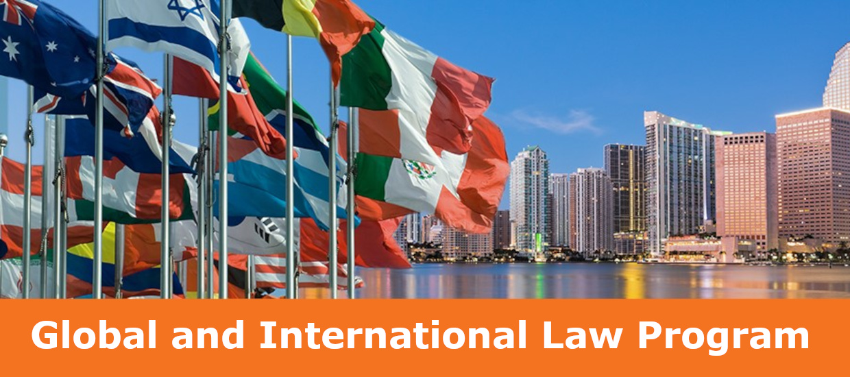 Global and International Law Program Banner, Various Country Flags
