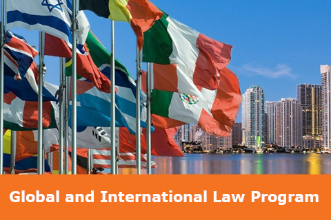 Global and International Law Program Banner, Various Country Flags