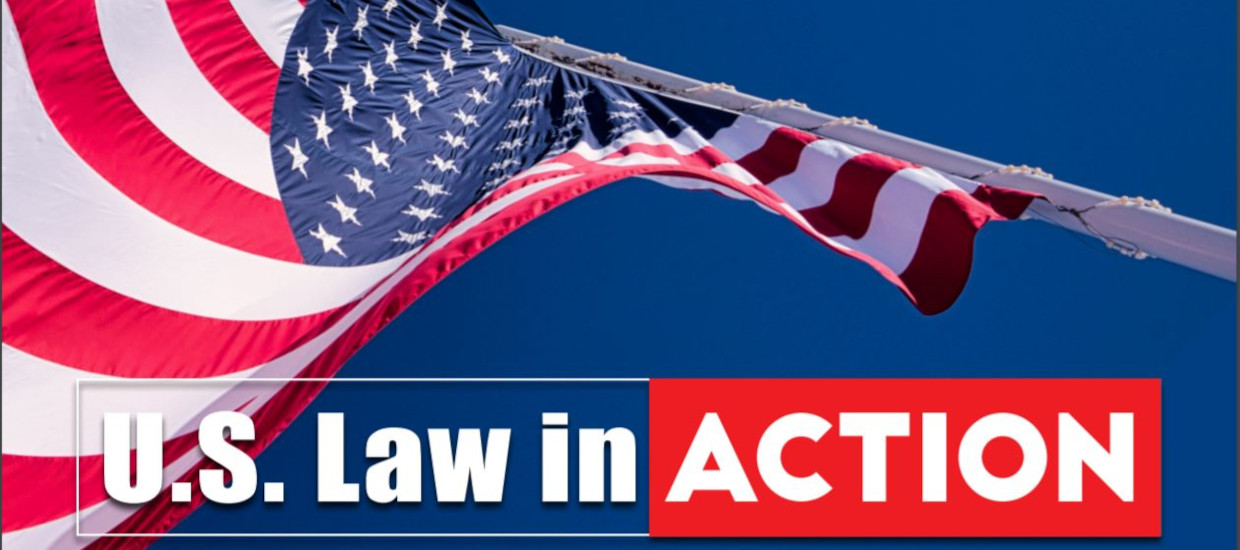 american flag with us law in action text