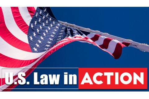 american flag with us law in action text