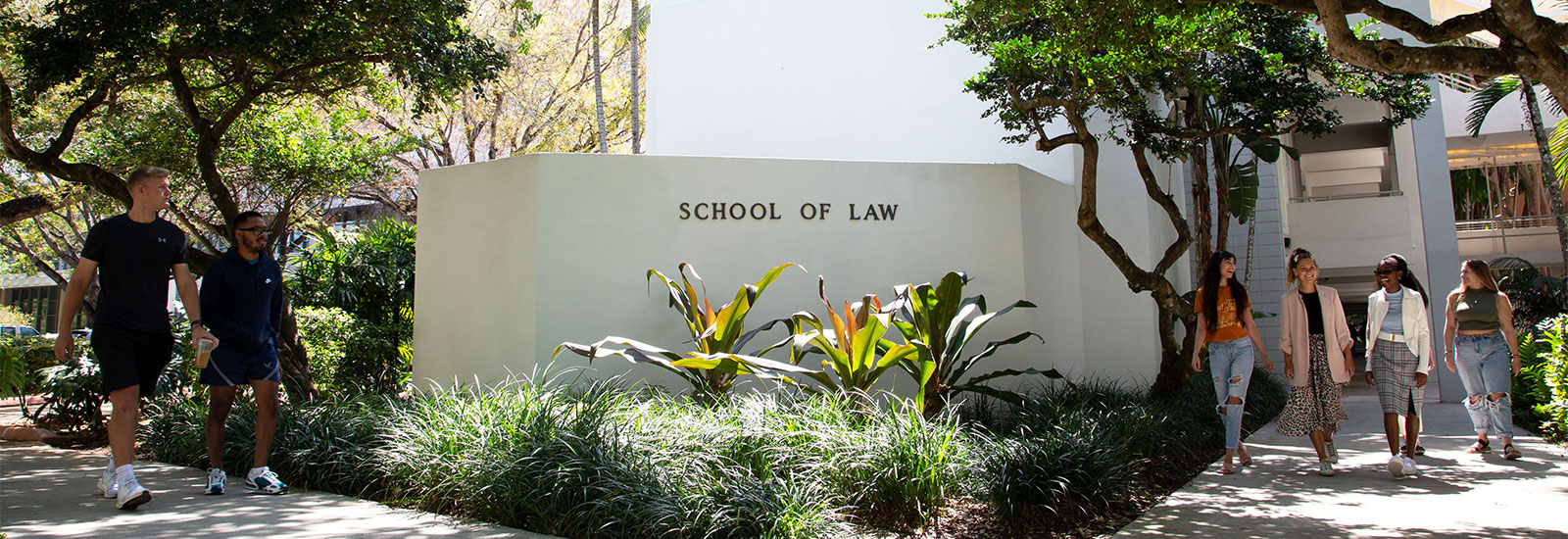 School of Law 