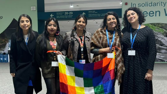 COP 29